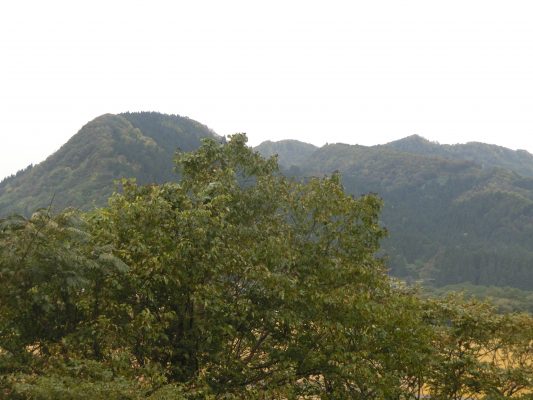 冬支度