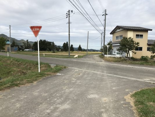 珍しい風景