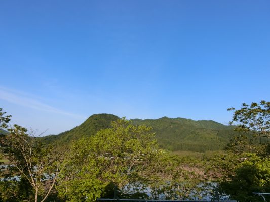 次回こそ