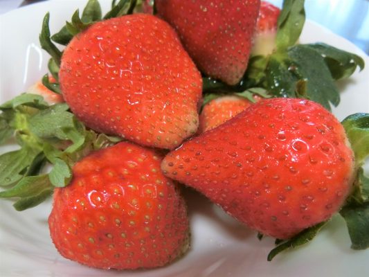 秋ノ宮産いちご