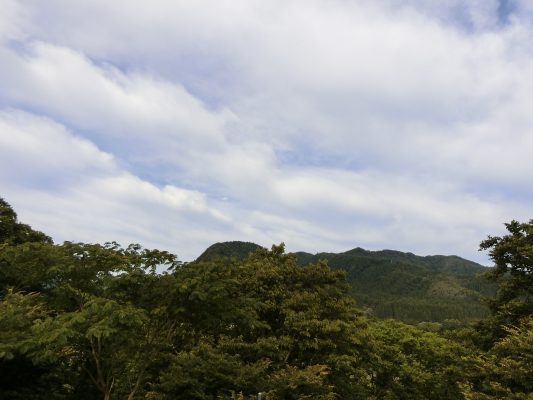 風