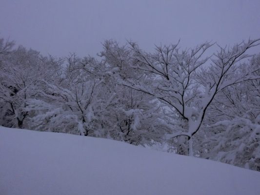 積もり続けています
