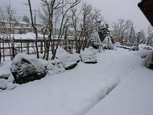 もっと降れ