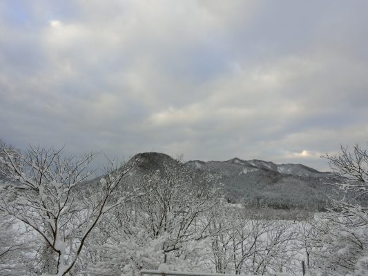 真っ白