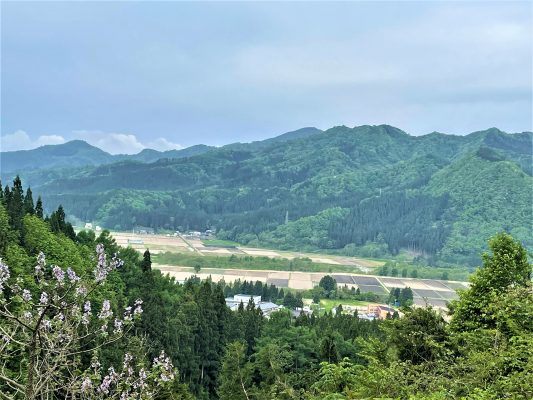 春の絶景おススメスポット