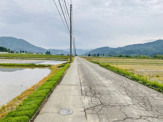 田植え