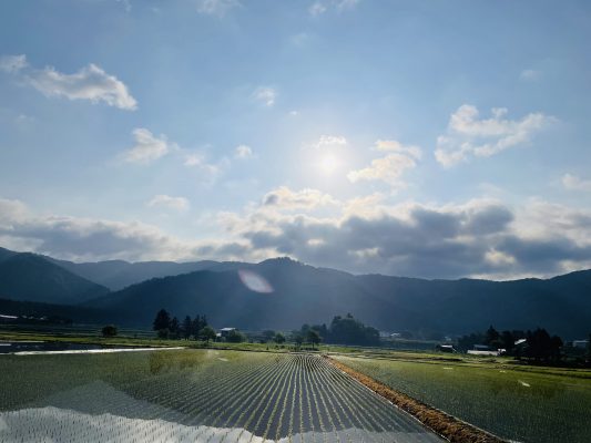 鏡面