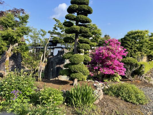 花盛り