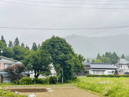 梅雨入り間近