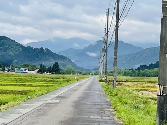 昨年より早く