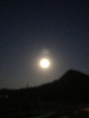 満月