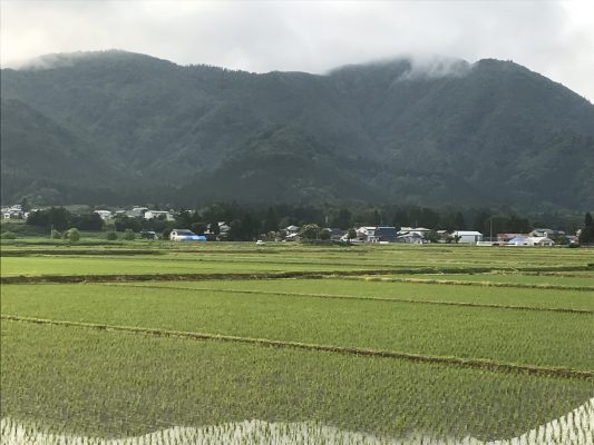 草刈り