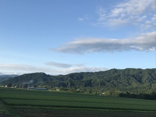 日照時間