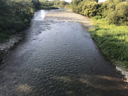 恵みの雨