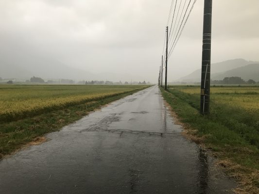 虫の勘