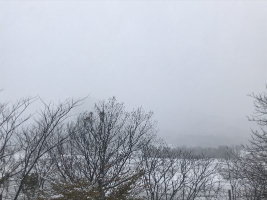 雪景色