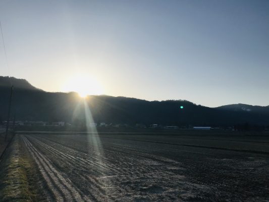 春の日差し