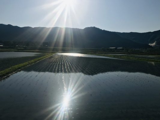 鏡面