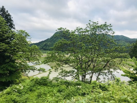 穏やかな気候