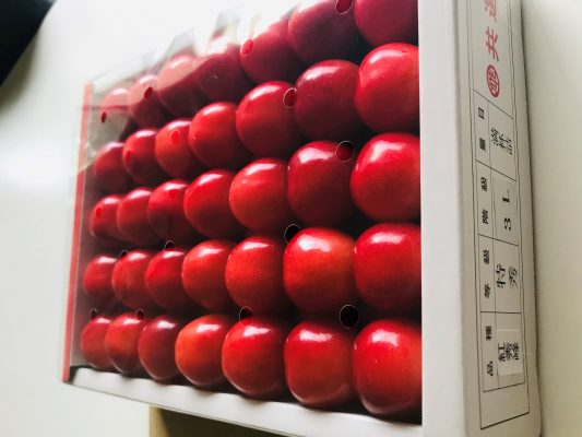 湯沢市産さくらんぼ