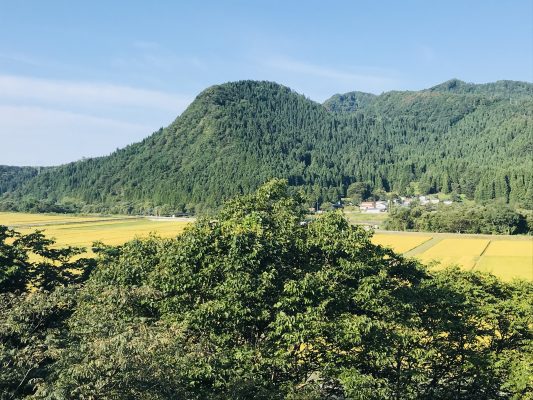 秋の風情