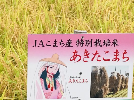 ブランド米