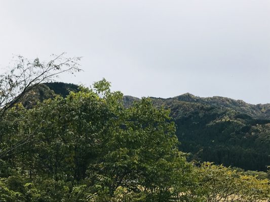 雨模様