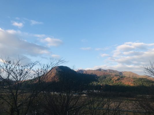 11月も