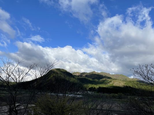 残念な雨