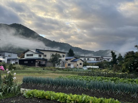 旬のトウガラシ