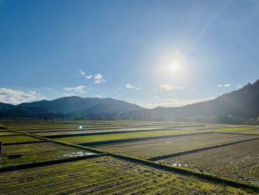 晩秋の稲庭